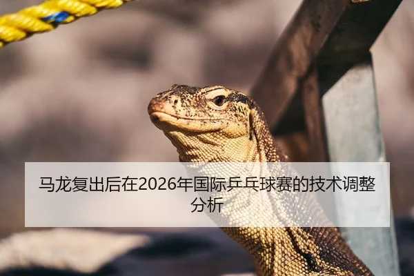 马龙复出后在2026年国际乒乓球赛的技术调整分析